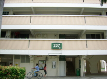 Blk 237 Tampines Street 21 (Tampines), HDB 3 Rooms #87212